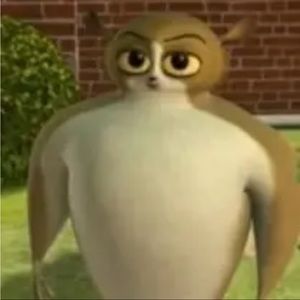 Meet your Posher, Nelson